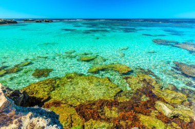 Somon Körfezi Rottnest Adası