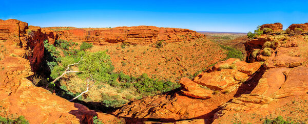 Panorama of Kings Canyon