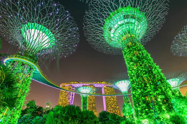 Supertree Singapur gecesi — Stok fotoğraf