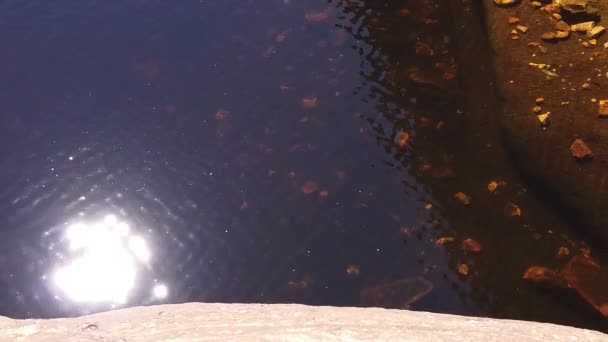 Watarrka Parque Nacional Waterhole — Vídeo de Stock