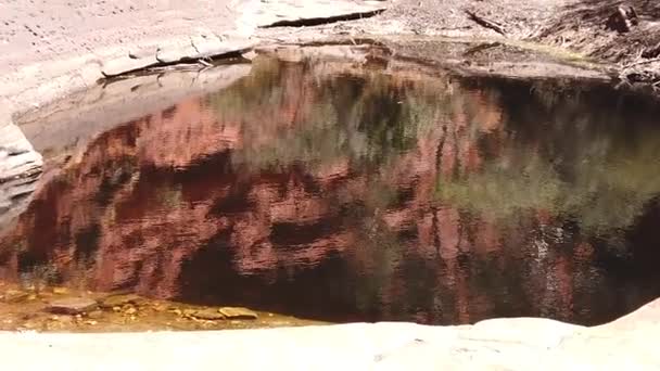 Kings Canyon su birikintisi Avustralya — Stok video