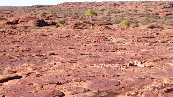 Cúpulas em Kings Canyon — Vídeo de Stock