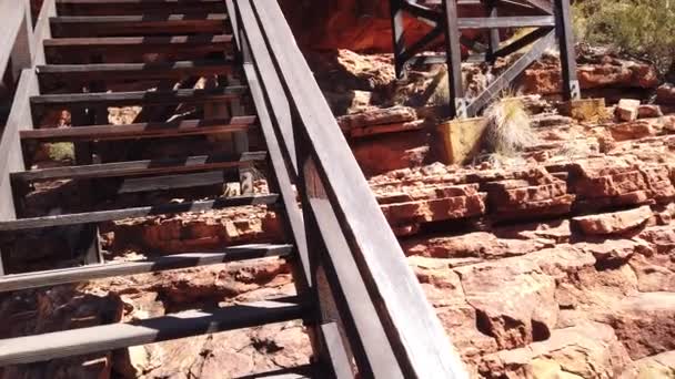 Kings Canyon wooden stairs — Stock Video