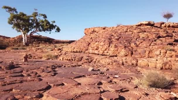 Kings Canyon Outback Austrálie — Stock video