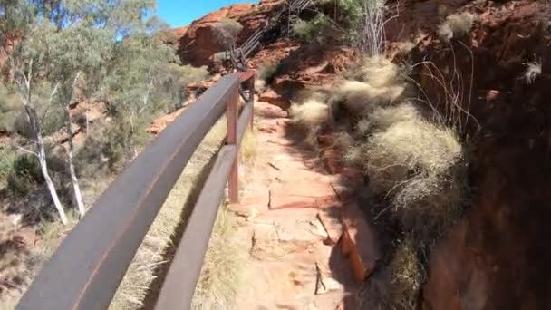 Aerial landscape of Kings Canyon — Stock Video