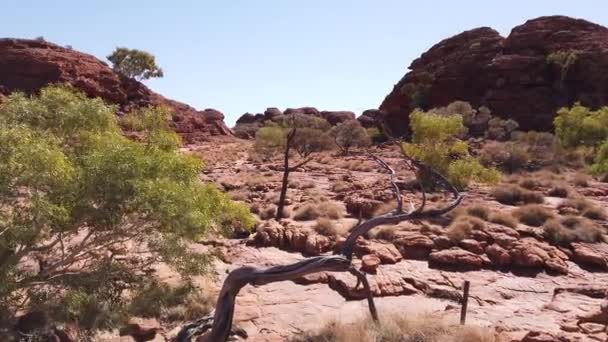 Panorama dari Kings Canyon — Stok Video