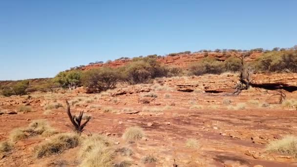 Koepels in Kings Canyon — Stockvideo