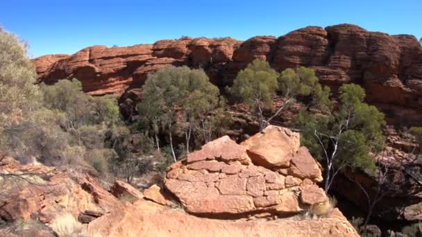 Reisende am Kings Canyon — Stockvideo