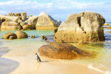 Boulder Sahili Manzarası