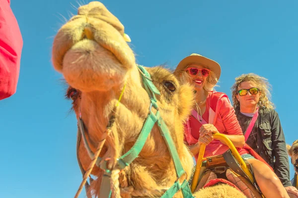 Couple chameau équitation — Photo