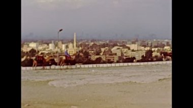 1980 'lerde Arşiv Mısırlı Bedevi erkekleri develerde
