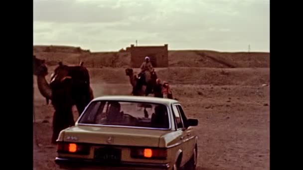 Archiwalne egipskie beduińscy mężczyźni na wielbłądach — Wideo stockowe