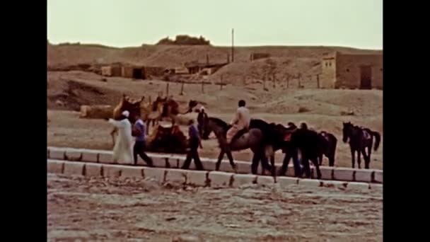 Archival Hombres beduinos egipcios a caballo — Vídeos de Stock