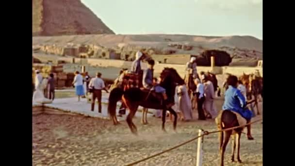 Archivos beduinos en camellos de Giza — Vídeos de Stock