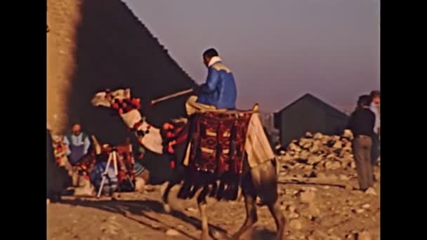 Archivní egyptští beduíni muži na velbloudech — Stock video