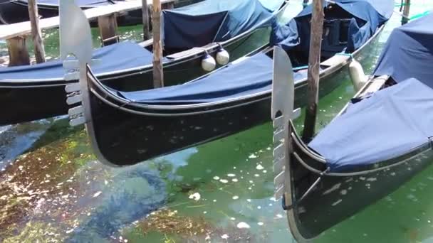 Gondoler från Venedig — Stockvideo