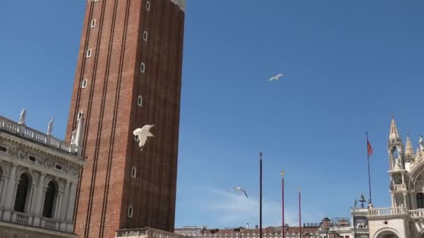 San Marco klocktorn i Venedig stad — Stockvideo