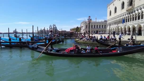 Veneza Canal Grande viagem — Vídeo de Stock