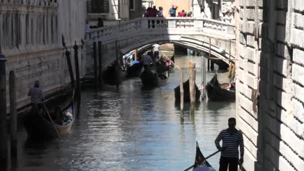 Venedik gondol tekne turu — Stok video