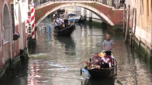 Venise vieux ponts avec gondoliers — Video