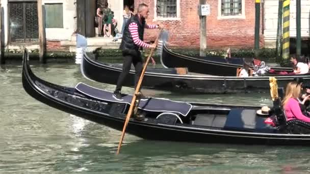 Γονδολιέρες της Βενετίας στο Μεγάλο Κανάλι — Αρχείο Βίντεο