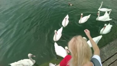 Zürih gölünde kuğulu bir kadın.