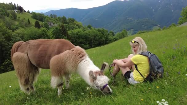 Mulher turística com alpaca no monte Comino — Vídeo de Stock