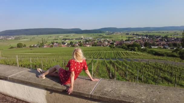 Vineyards of Hallau in Switzerland — Stock Video
