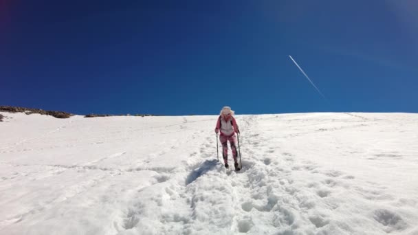 Mujer caminando con bastones de trekking — Vídeo de stock