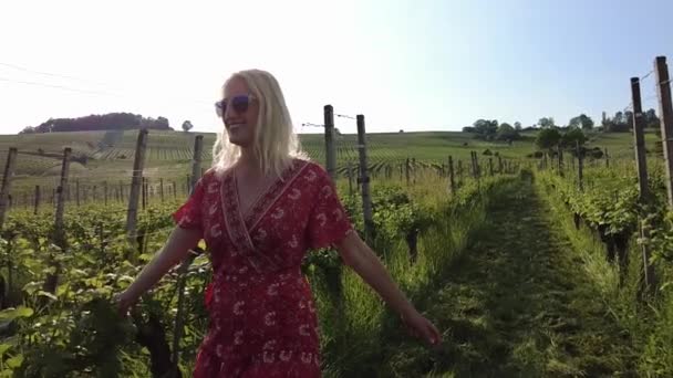 Kvinna promenader i vingårdar i Hallau — Stockvideo