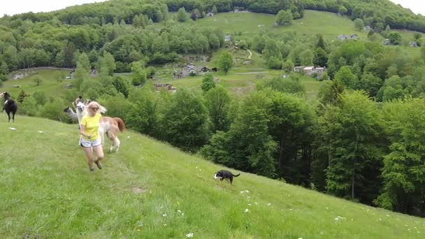 Mulher correndo com alpaca no monte Comino — Vídeo de Stock