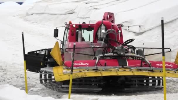 Schneekatze von Titlis in der Schweiz — Stockvideo