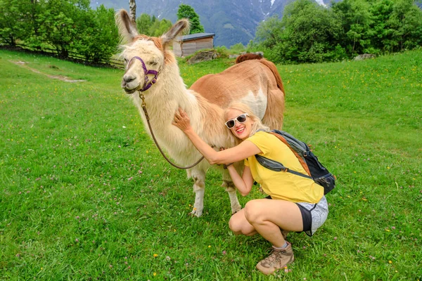 Tourist with alpaca on Comino mount — Stock Photo, Image