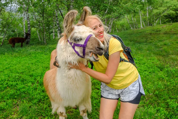 Femme touristique avec alpaga sur le mont Comino — Photo