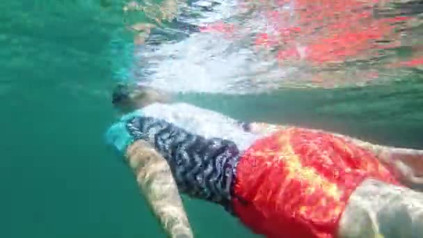 水下游泳的女人 — 图库视频影像