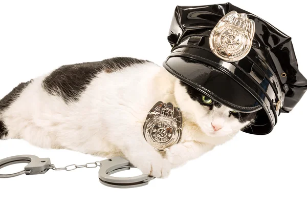 Gatto poliziotto — Foto Stock