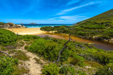 Wilsons Promontory National Park clipart
