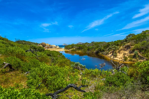 Parque Nacional Promontorio Wilsons — Foto de Stock