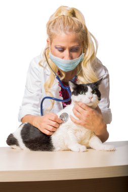 Veteriner sağlık kontrolü