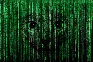 Matrix face 