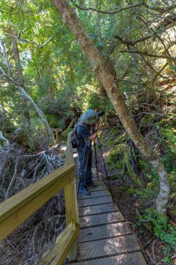 vahşi yaşam fotoğrafçısı 