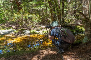 vahşi yaşam fotoğrafçısı 
