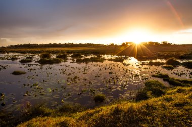 Isimangaliso Sulak Arazi Parkı
