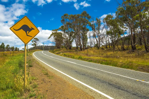 Australian Kangaroo Crossing — Stock Photo, Image