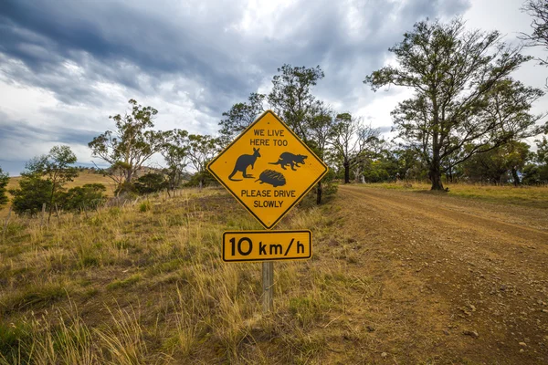 Tasmanian road signs — Stock Photo, Image