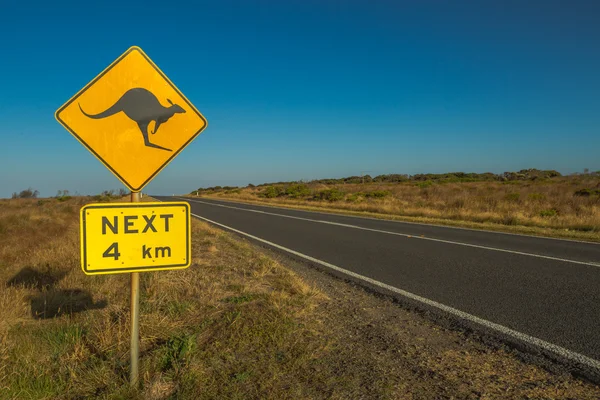 Warning Kangaroo — Stock Photo, Image