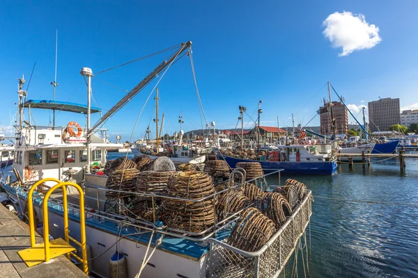 Armadilhas de lagosta hobart — Fotografia de Stock