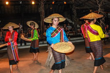 Geleneksel dansları