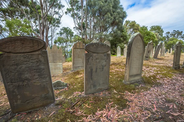 Port Arthur Isle of Dead — Zdjęcie stockowe