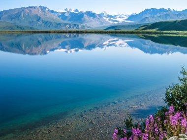 Tanana Vadisi Alaska 